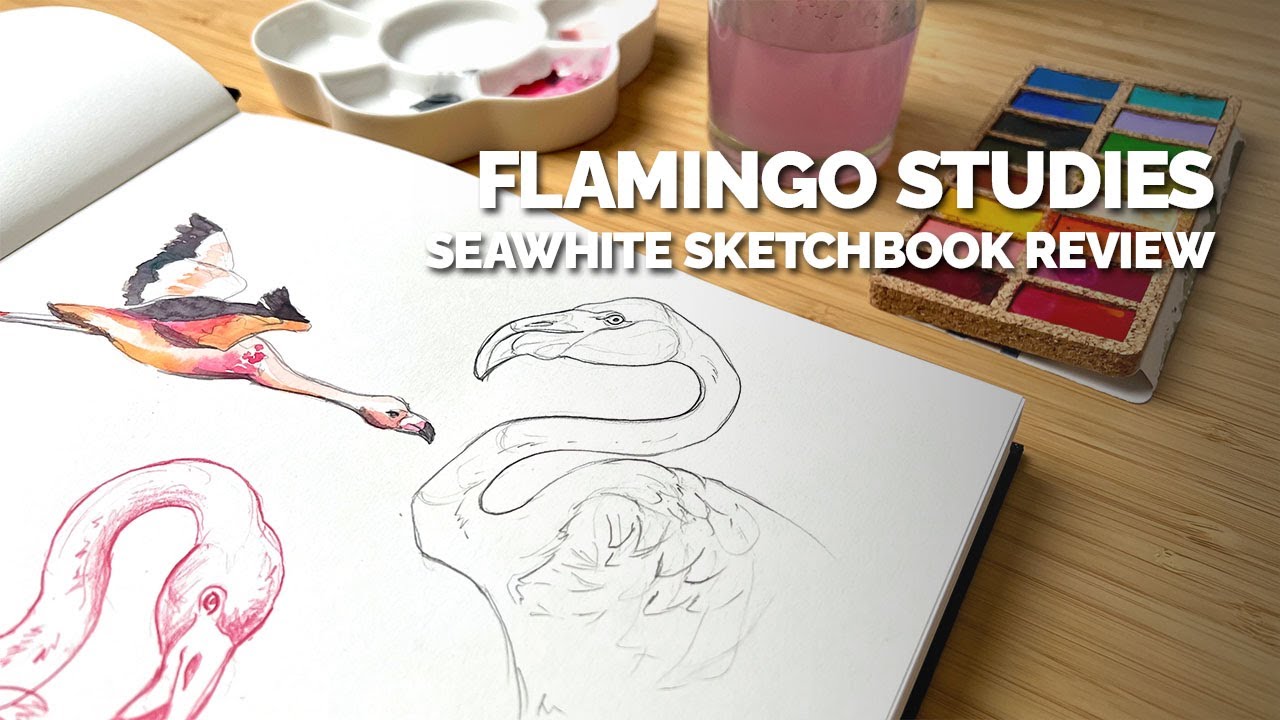 Flamingo Studies - Seawhite Sketchbook Review
