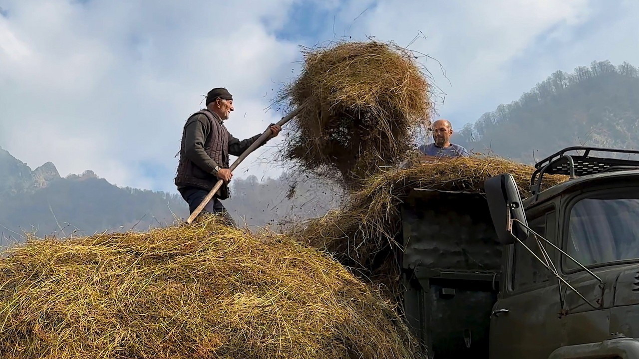 Milking Sheep and Making Cheese in the Mountains: A Family’s Life