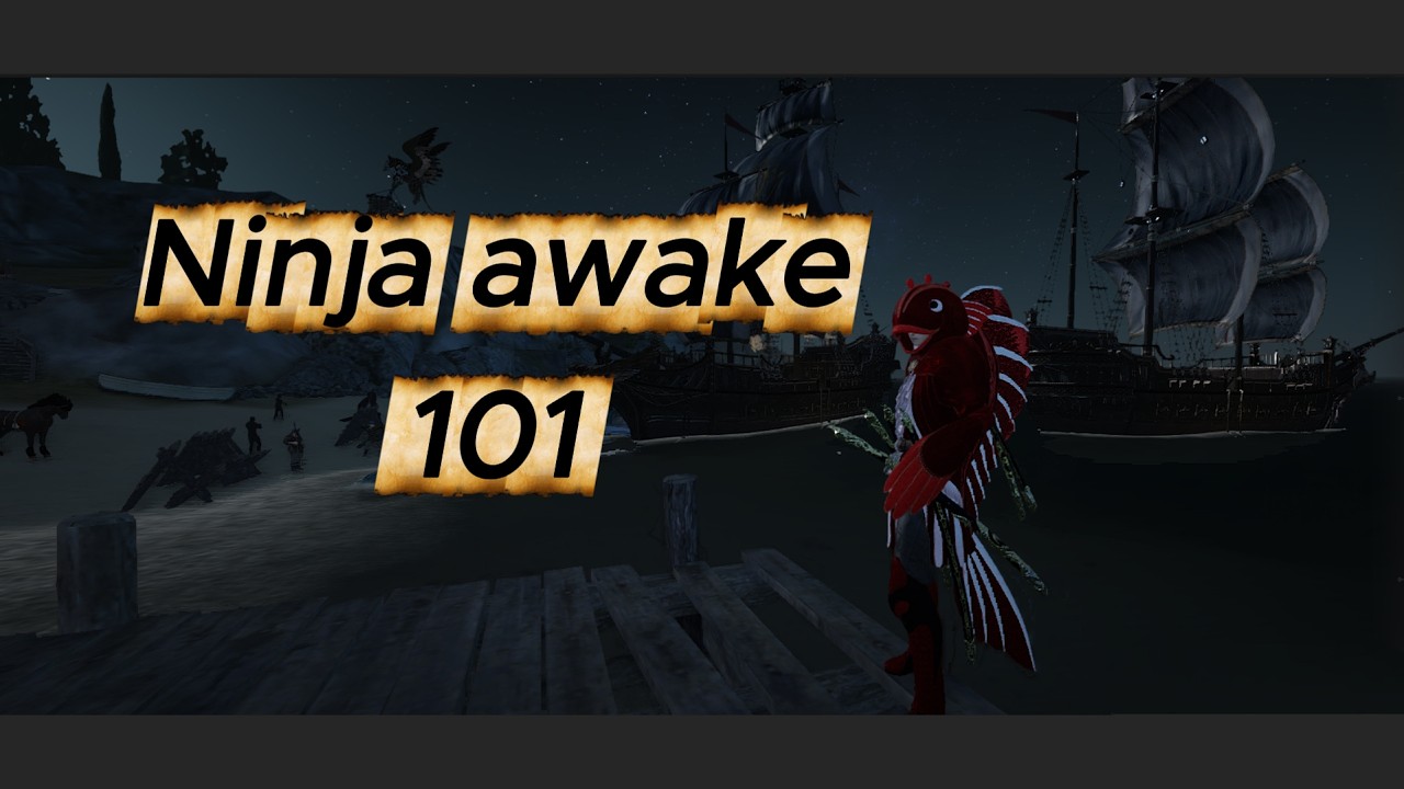 BDO Ninja Awakening Montage PVP #10
