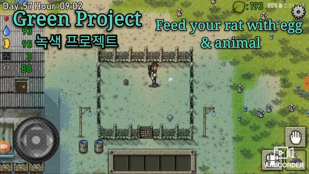 Green project - Feed your rat with animal and egg!!