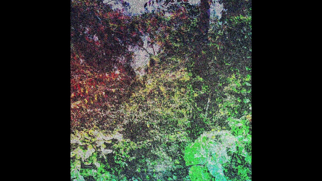 One Billion Conveyor Belts - Forest (Full Album 2024)