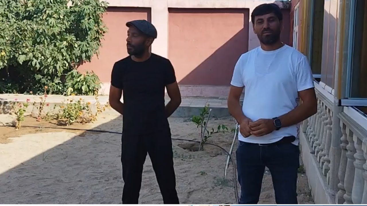 Əlifağa dayının quşlarının uçuş nəticəsi.👍🕊️
