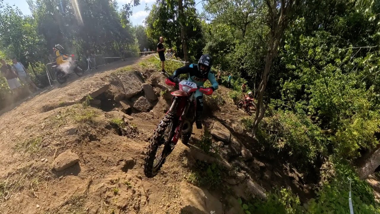 WILD WILLY