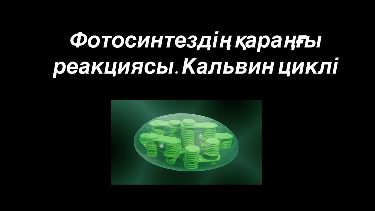 Фотосинтездің қараңғы реакциясы. Кальвин циклі.