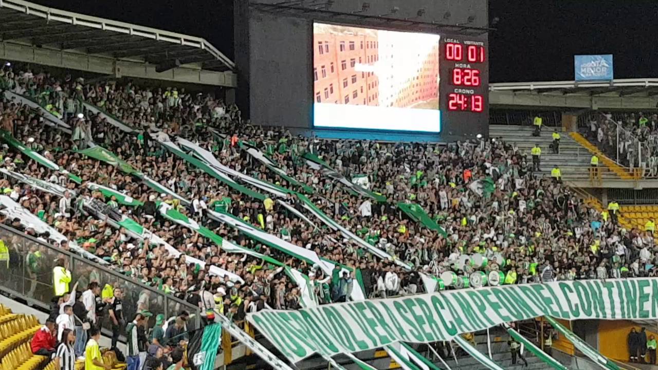 A mi me volvió loco ser de Nacional - Los del Sur (vs Fortaleza)