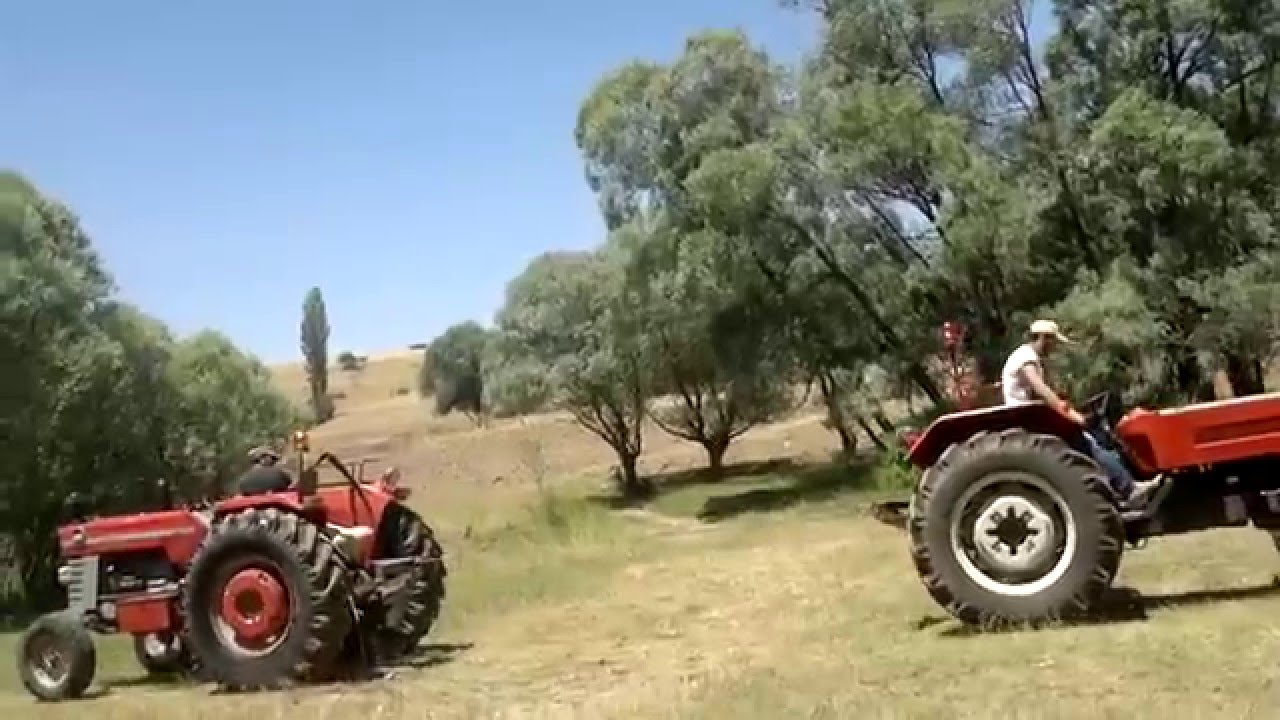 Steyr 8073 AND 185 Massey Ferguson