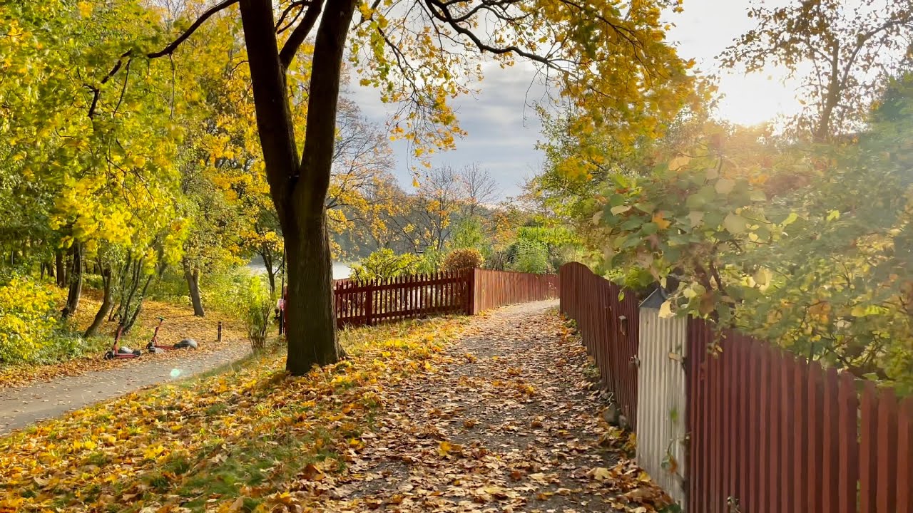 Stockholm Walks: the allotment gardens to city streets. October colors (Rackarbacken - Skanstull)