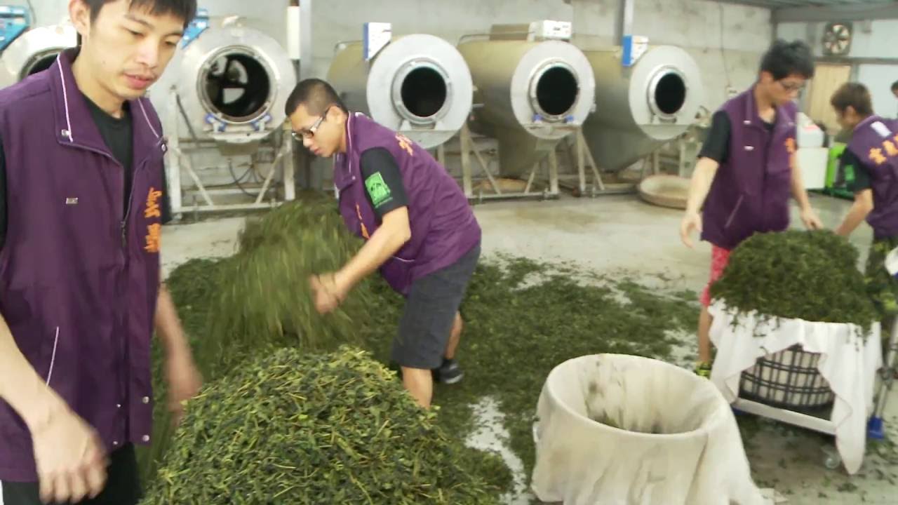 竹山泰獅茶農場(台灣高山茶) Taiwan high mountain oolong tea