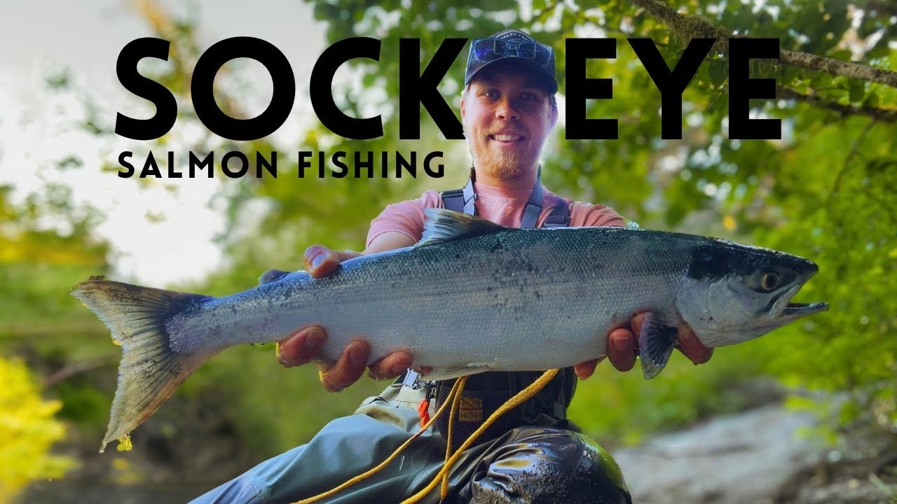 I Went Sockeye Salmon Fishing as a Seasonal Worker in Alaska