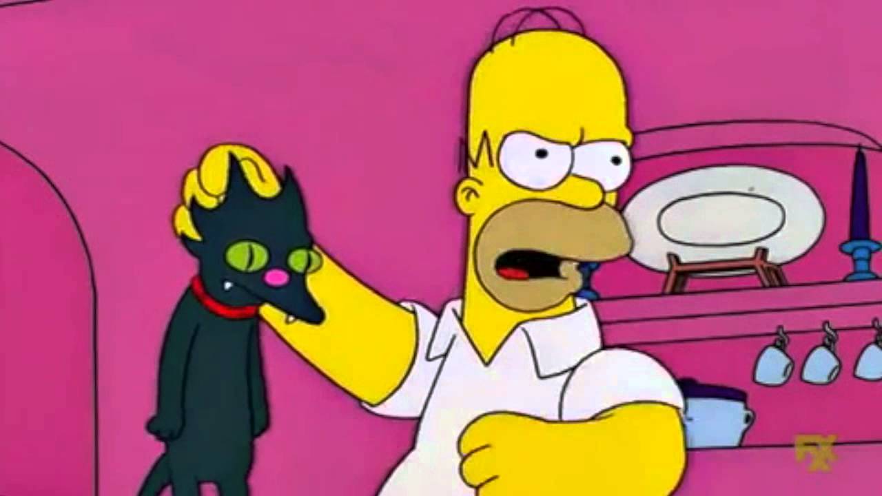 The Simpsons - Homer punching the cat (S13Ep18)