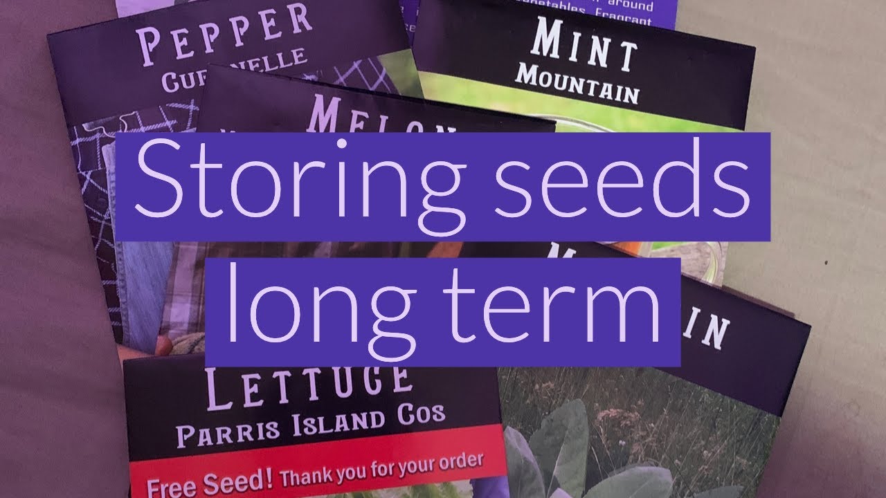 How to Store Seeds Long Term [Preparedness Unit #4]