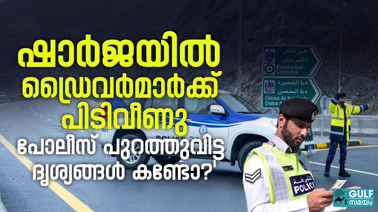 Sharjah Police Traffic Fine: ഡ്രൈവിംഗിനിടയിൽ ഫോൺ നോക്കുന്നവരാണോ? ഷാർജ പോലീസിന്റെ പുതിയ മുന്നറിയിപ്പ്