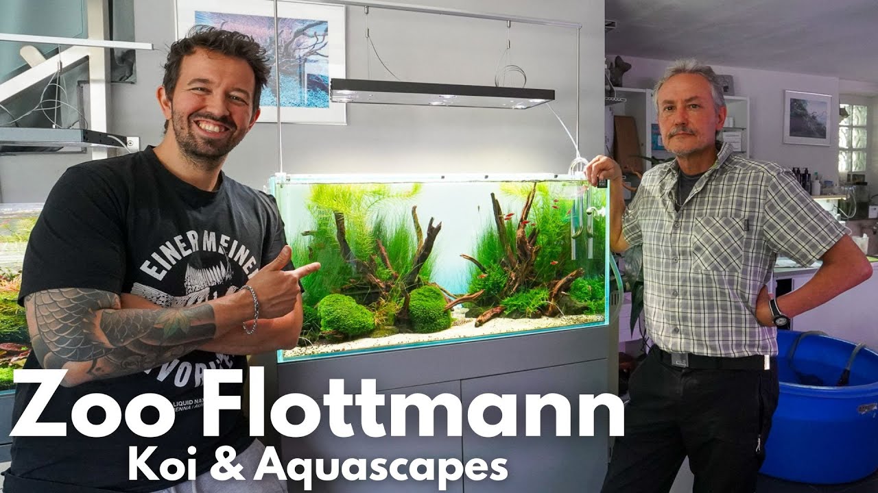 Einer der schönsten Aquarium Läden in Deutschland! Zoo Flottmann 2025
