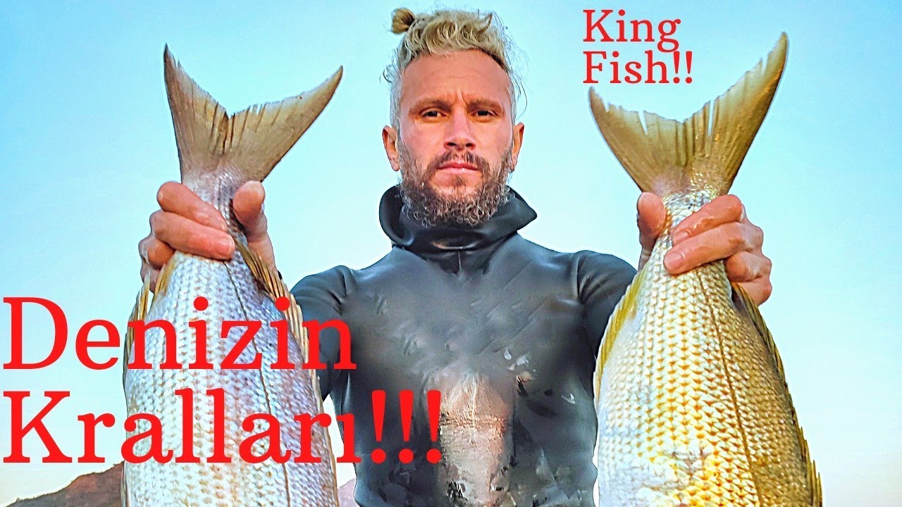 ZIPKINLA BALIK AVI | SİNARİT | LAGOS | SPEARFİSHİNG | GROUPER | DANTEX | DEEP