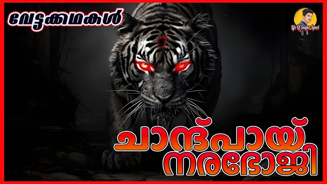 Chand Pai Tiger  | DFO | വേട്ടക്കഥകള്‍ | Hunting Story Malayalam | #sniperspool