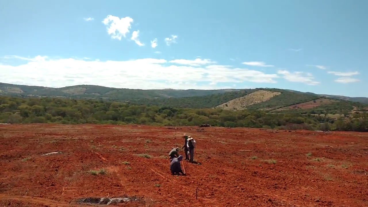 Como medir terra para plantio.