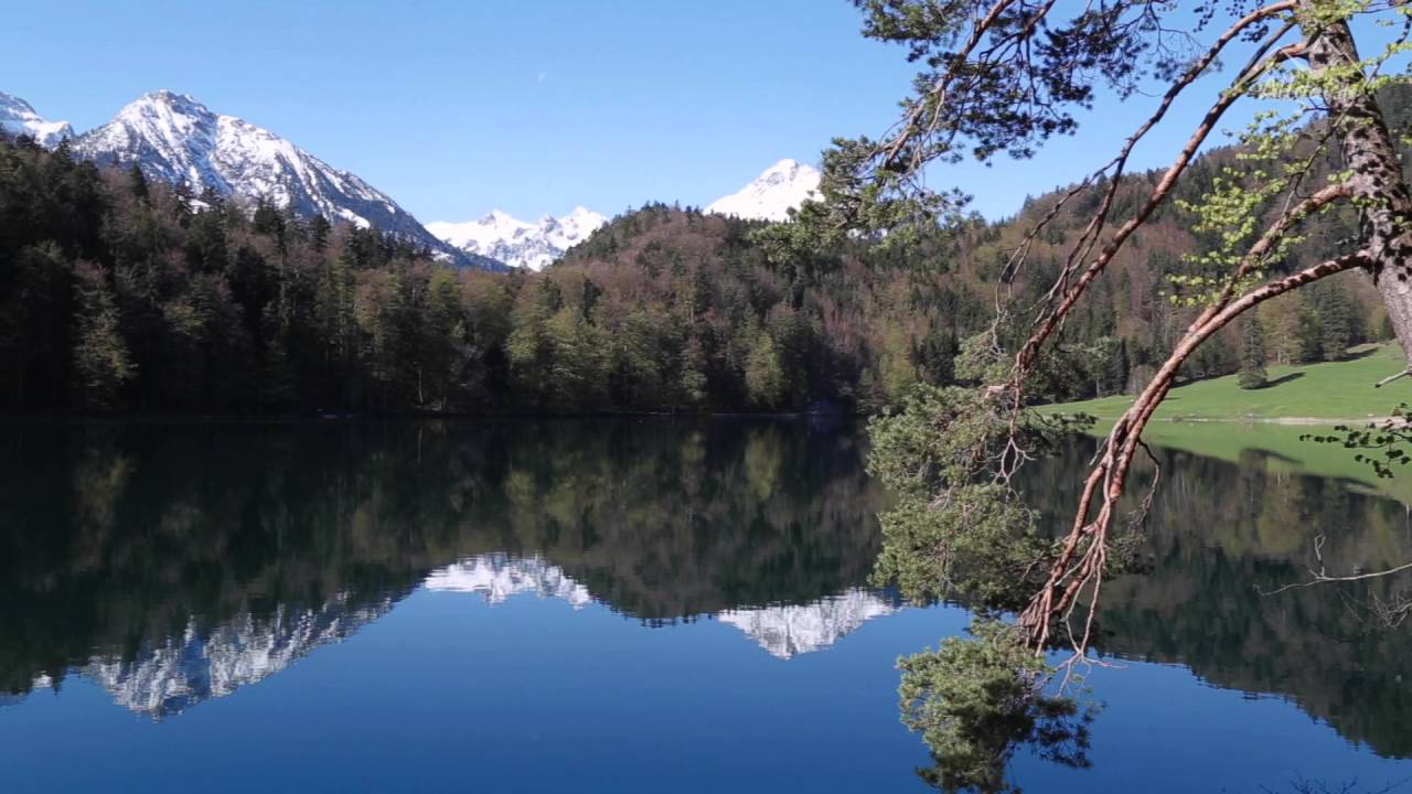 Alatsee im Frühling