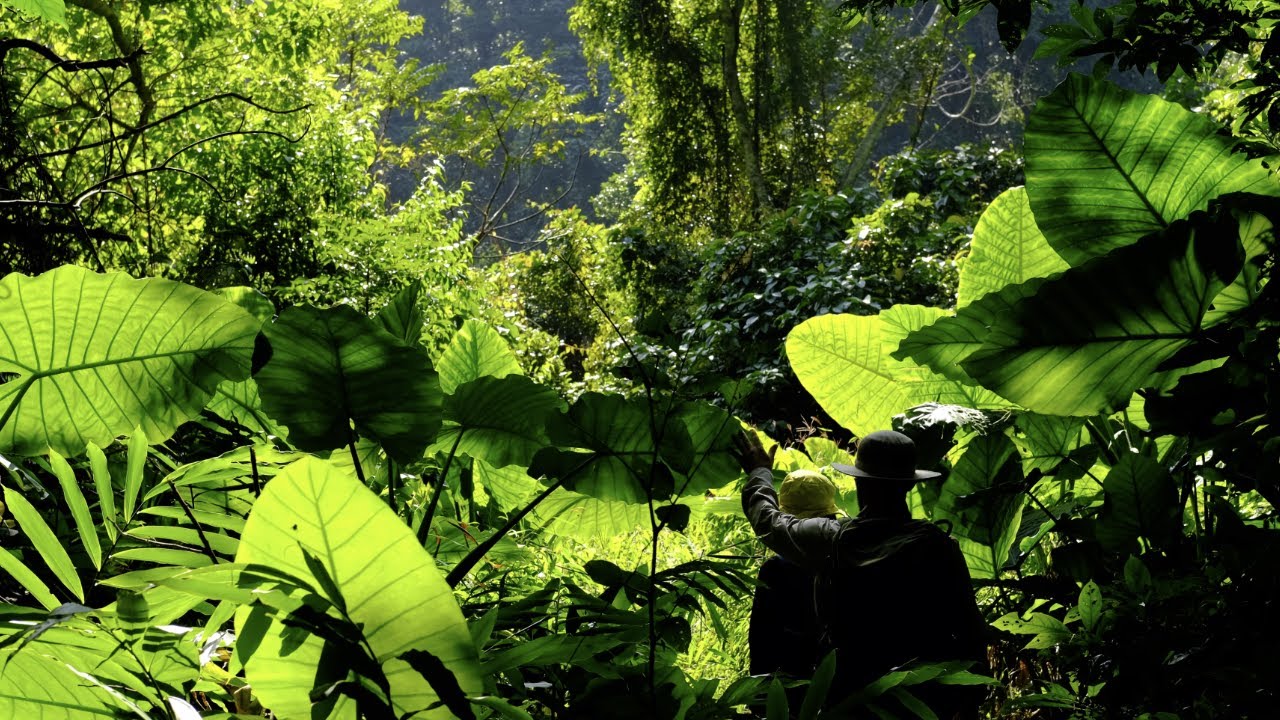 Silent Hiking on Cat Ba Island, Vietnam