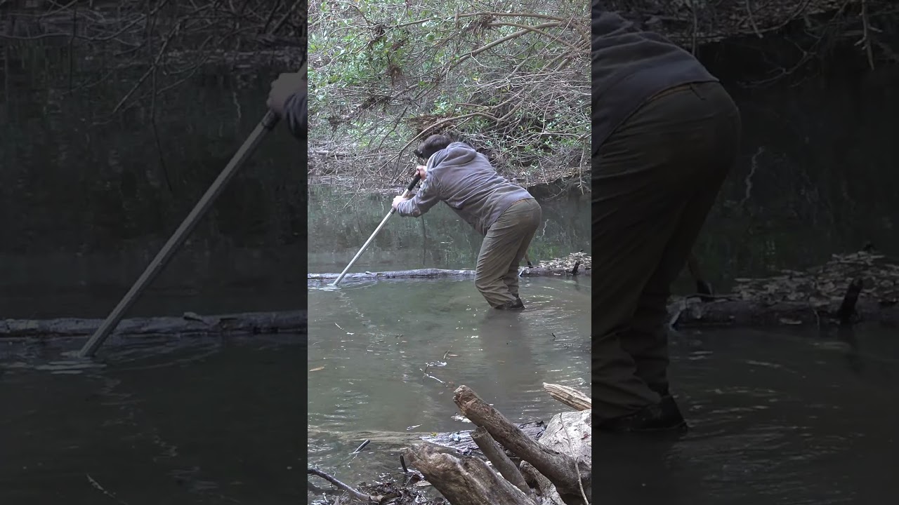 Охота на водоплавающих собак в ручьях с помощью сетей!