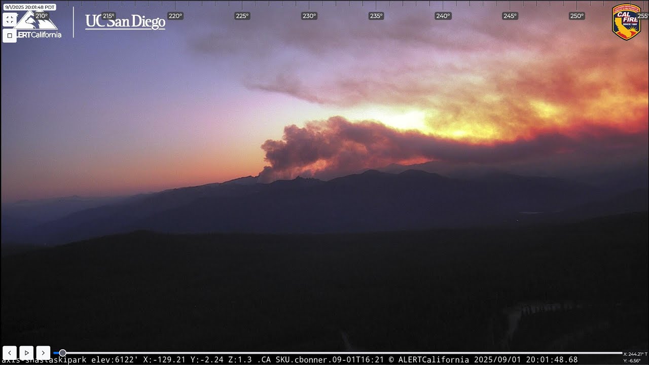 Teakeetle is Still Cooking, Root and Blue Fires - 9/1/2025
