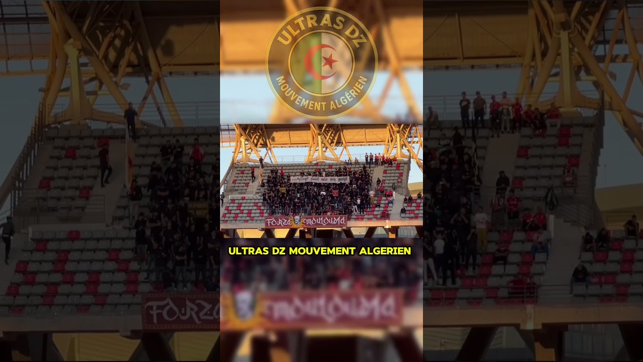 Forza Mouloudia | FMW (MCO) Oran #ultrasdzmouvementalgerien #mcoran #oran #hamrawa #wahren #وهران