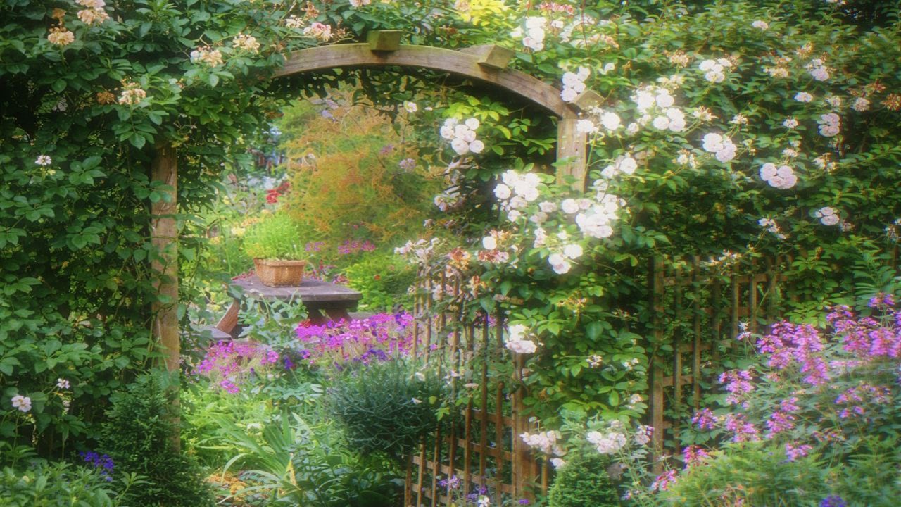 a playlist for a quiet day, full of comfort🌿 (soft piano for reading, studying & writing)