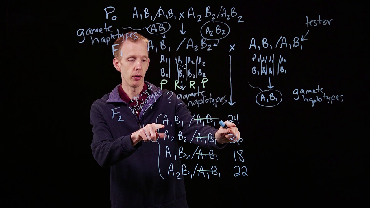 Genetic distance and two-point mapping