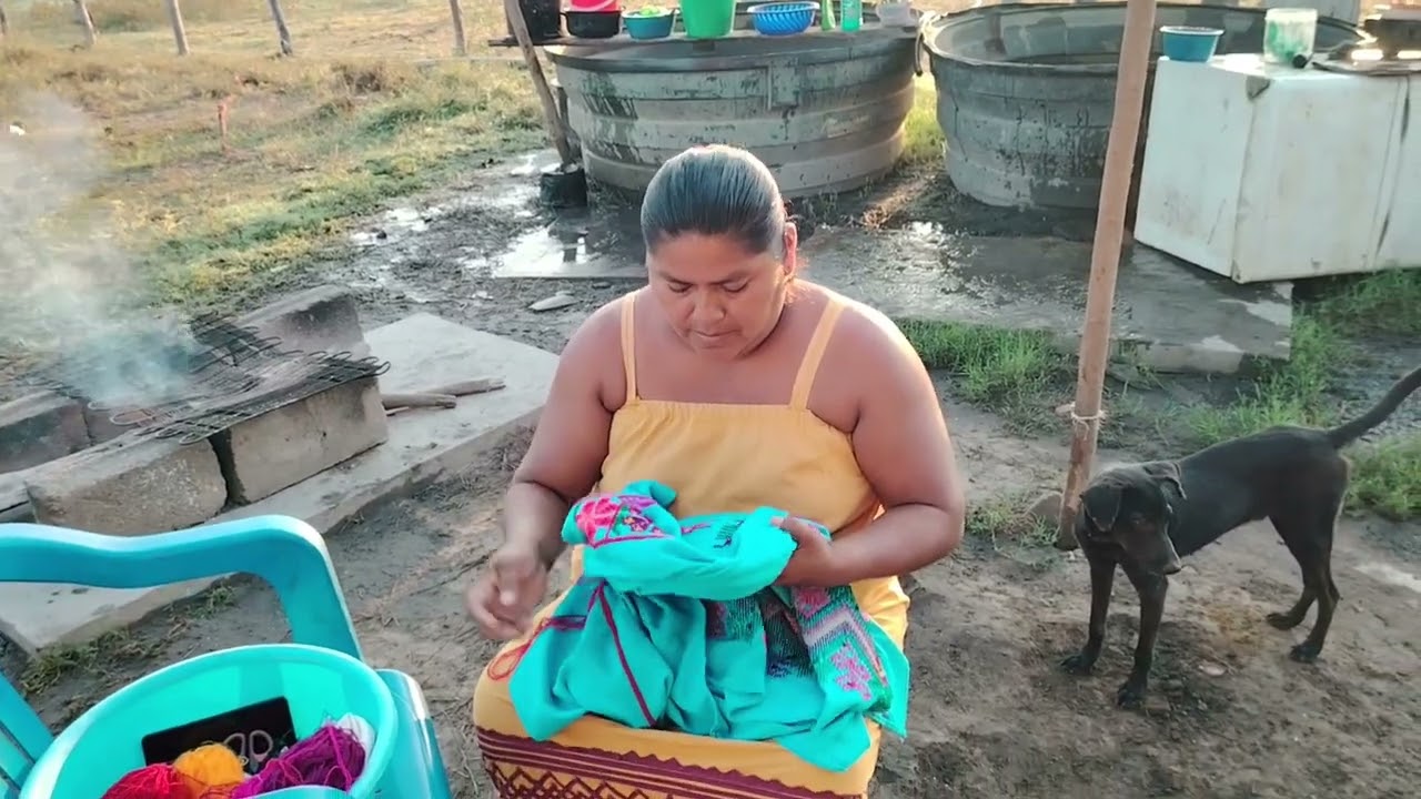 Mira cómo Carmen  borda un vestido a punto de cruz paso a p