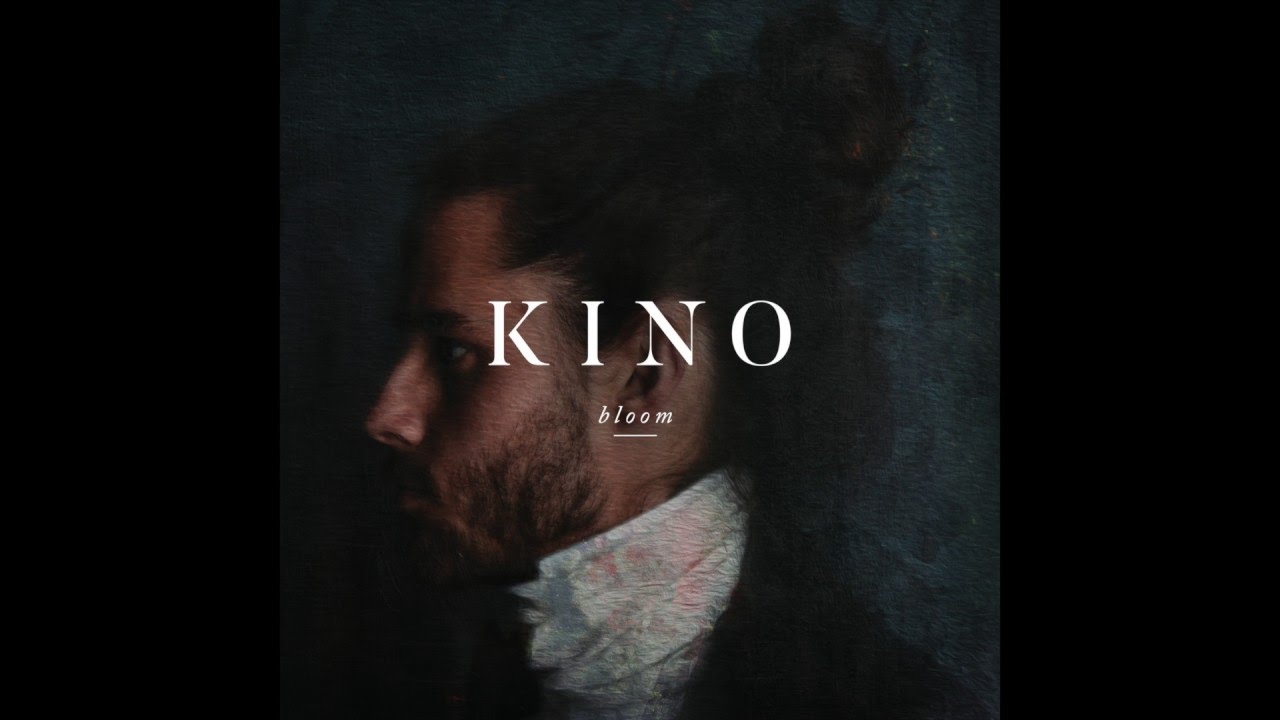 Kino &ndash; Donau