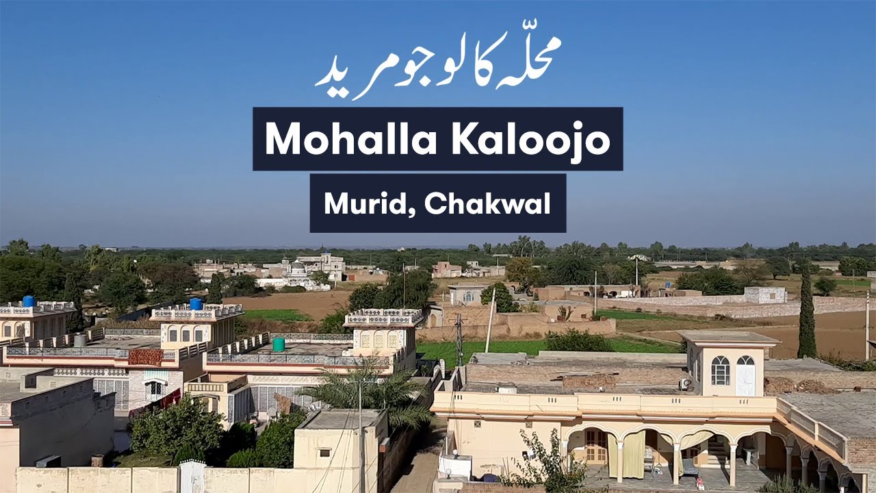 Mohalla Kaloojo Murid, Chakwal | Waqas