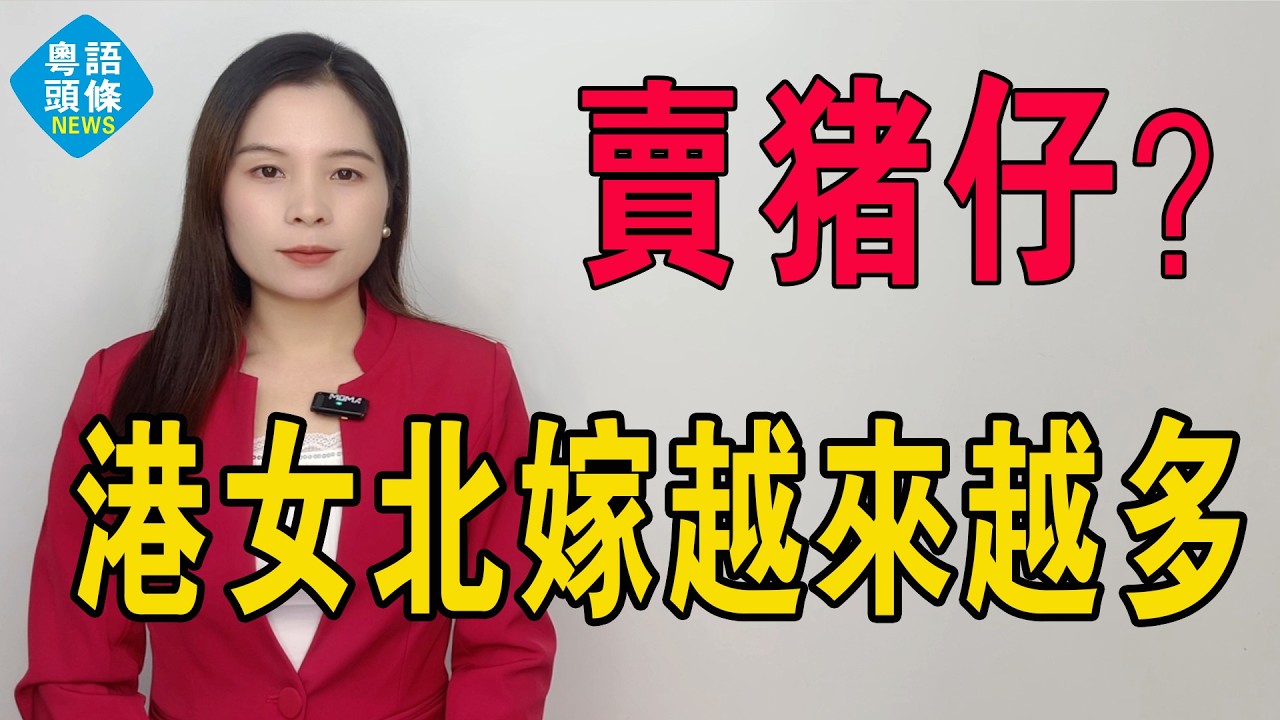 港女無人要？男女比例失衡爆雷！內地新娘涌港搶走優質男，逼出今日港女北飛潮！港男北娶遺禍70萬人？由「賣豬仔」到「精英聯姻」港女北嫁去污名化！#港女 #港女北嫁 #結婚 #男女 #女北嫁 #港人北上