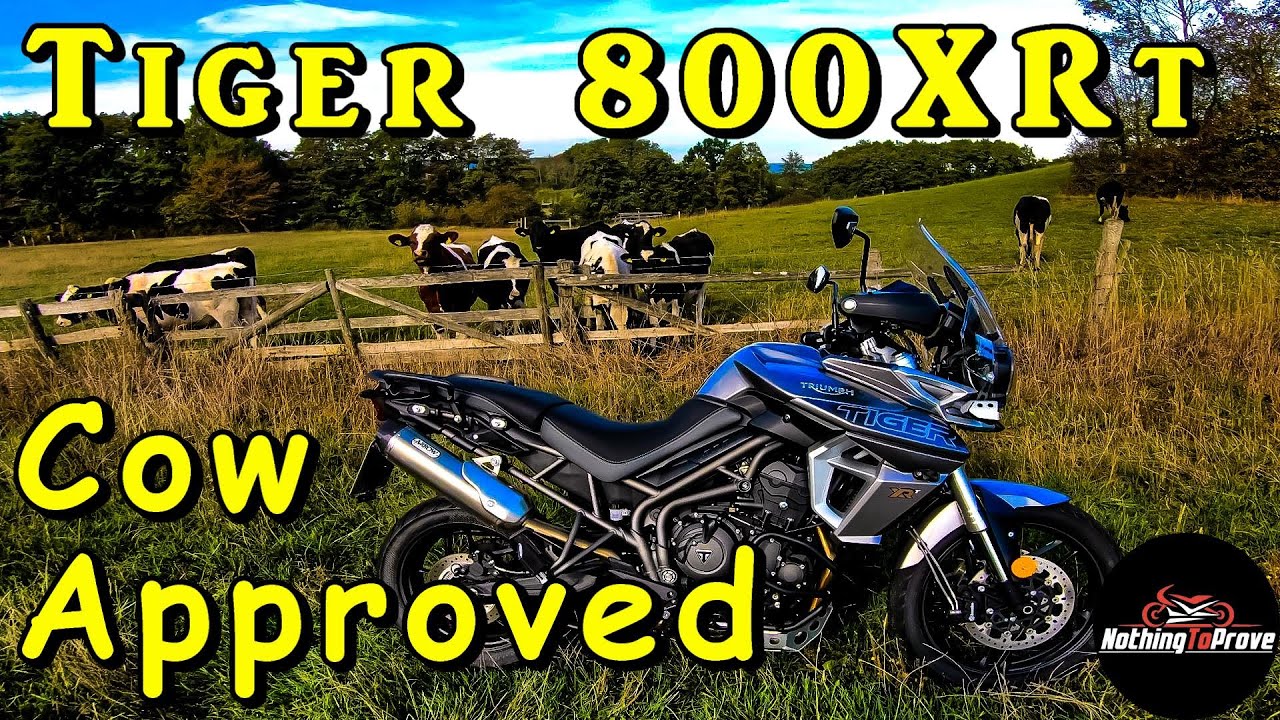 2018 Triumph Tiger 800 XRt  |  First Ride  |  Review