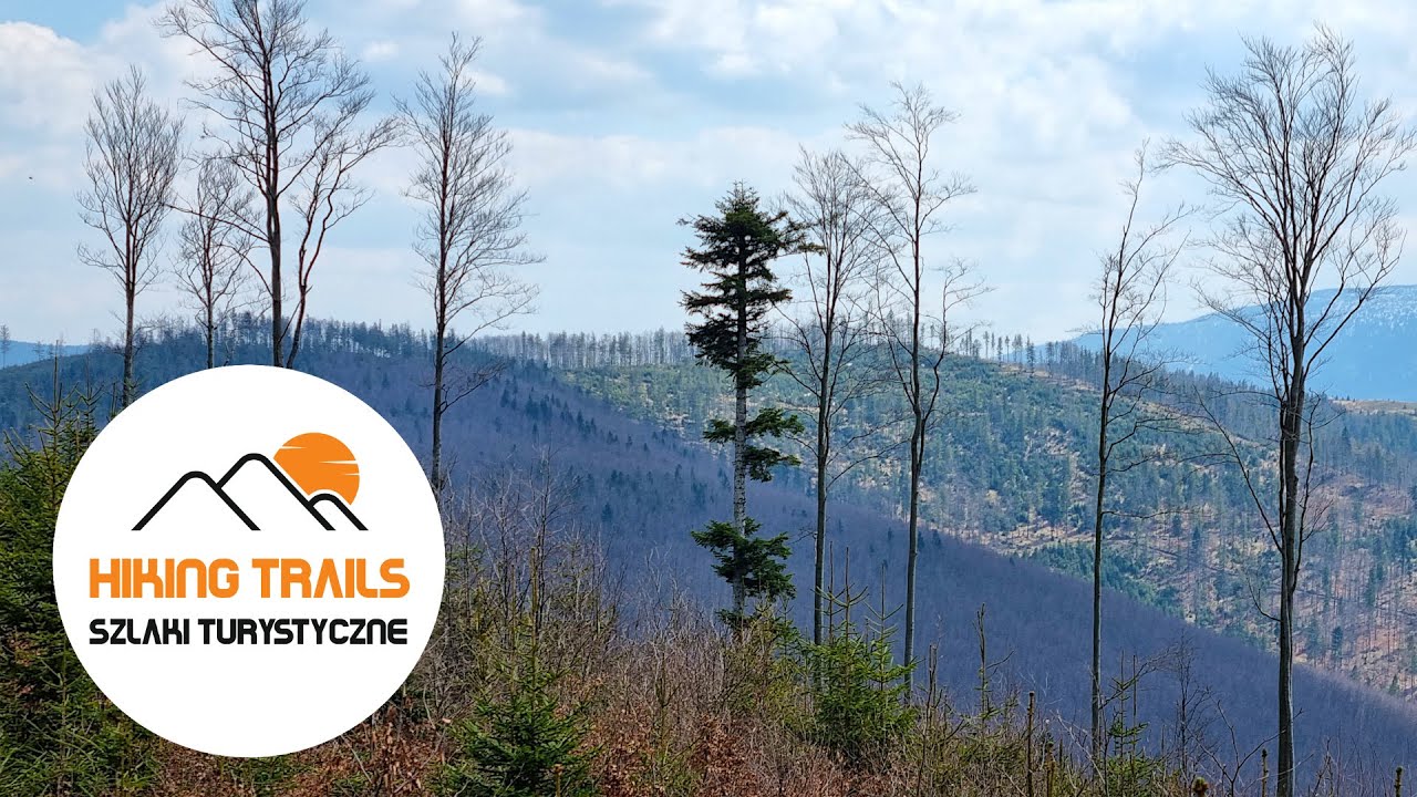 🇵🇱 Beskid Żywiecko-Orawski: CZERNIAWA SUCHA / Żywiec-Orawa Beskid Mountains: CZERNIAWA SUCHA