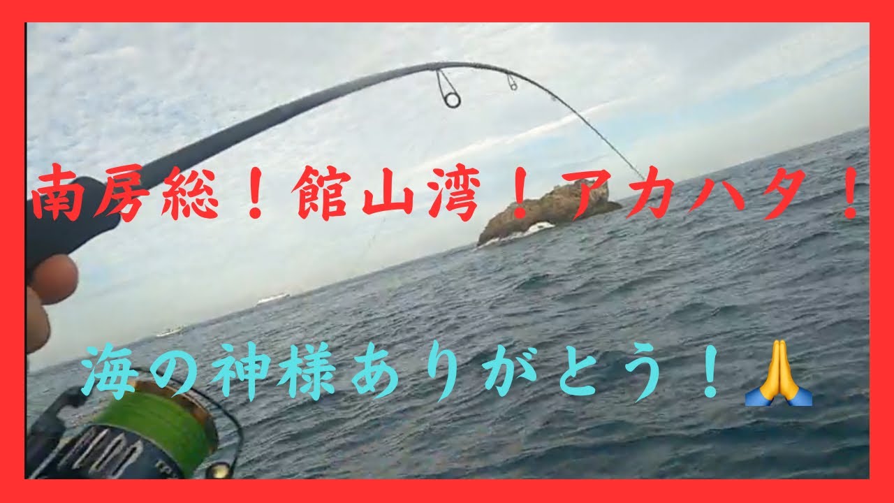 『南房総』千葉！南房総！館山湾！釣って食す！念願のアカハタが釣れた！海の神様ありがとう！
