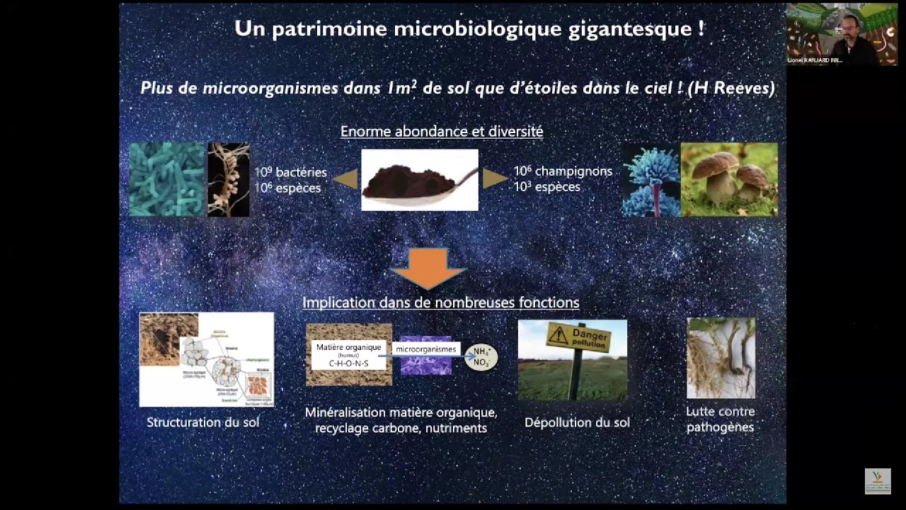 La biodiversité microbienne d'un sol est primordiale - Lionel Ranjard