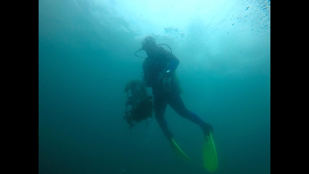 Dia Mundial de Limpeza - Mergulhadores no fundo do mar das Ilhas Cagarras - Setembro de 2018