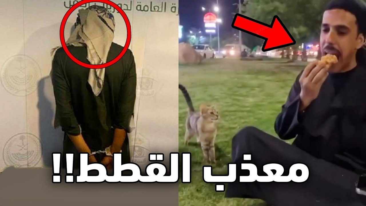 مسكوه يعذب القطوه في الشارع وهرب!