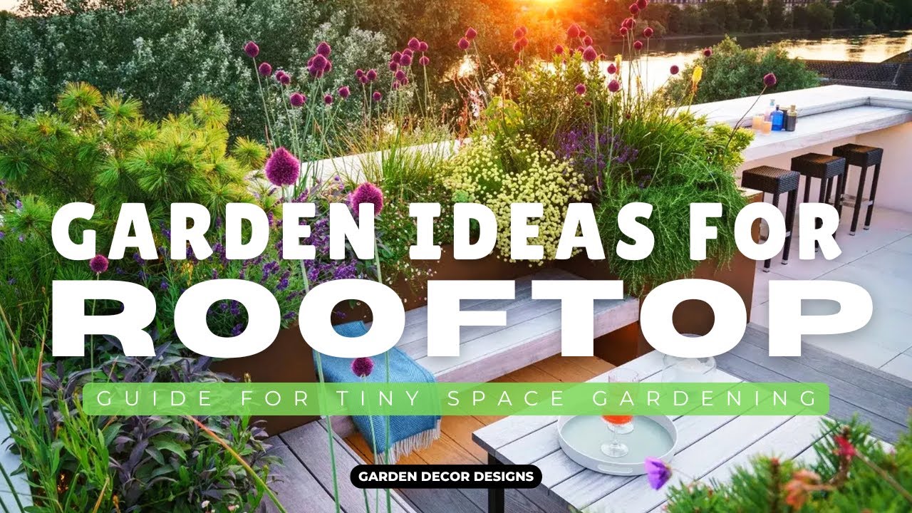 SMALL ROOFTOP GARDEN DESIGN IDEAS | BREATHTAKING ROOFTOP GARDEN DESIGNS FOR TINY SPACES YOU MUST SEE