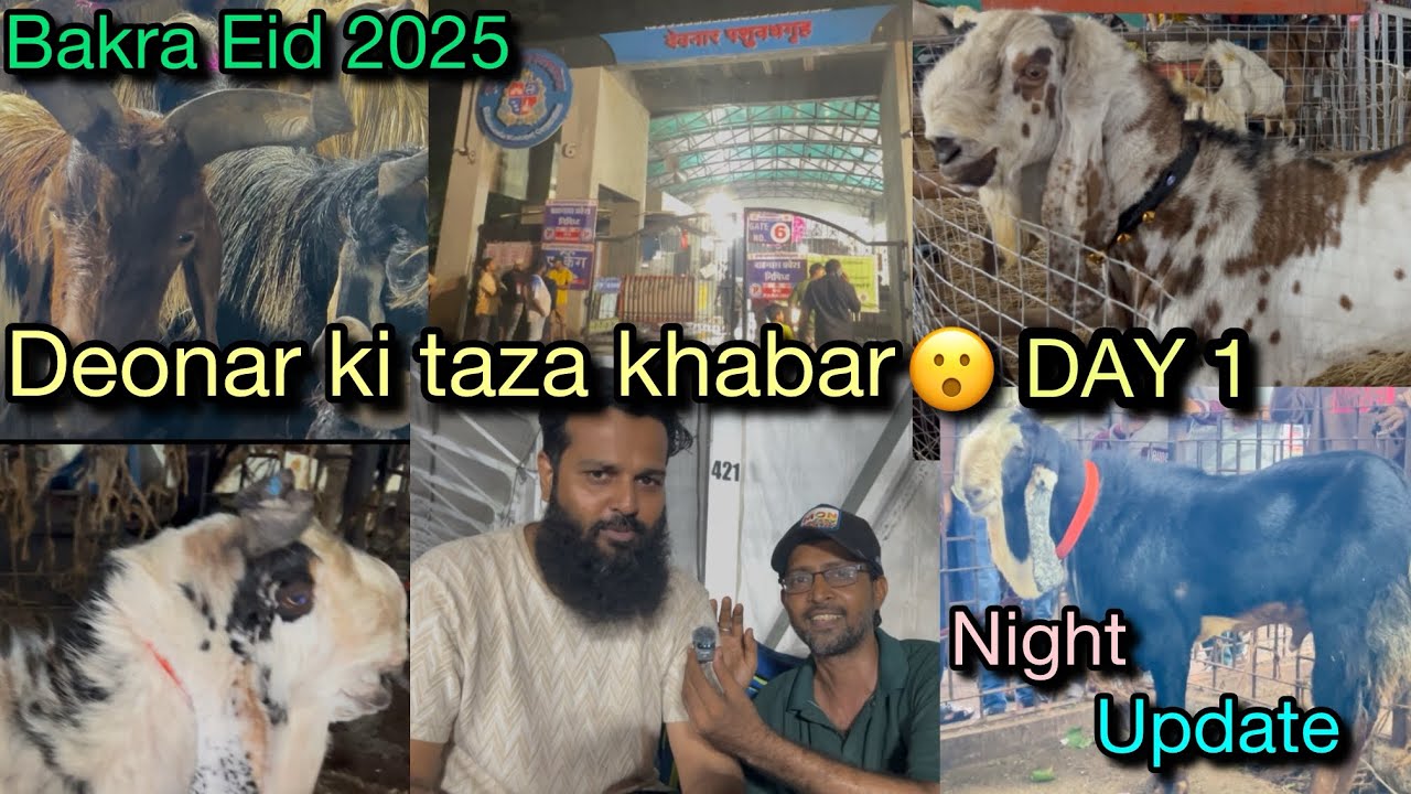 Deonar ki taza khabar Day 1|Night update |Bakra Eid 2025|latest news||Rizwan vlogs||