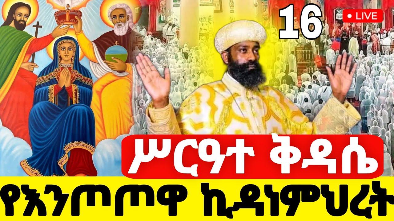 🛑Live❗️ #ሥርዓተ_ቅዳሴ የካቲት16 #የእንጦጦዋ_ኪዳነምህረት #ንግሥ #Ethiopian_Orthodox_mezmur @hosaenatube1