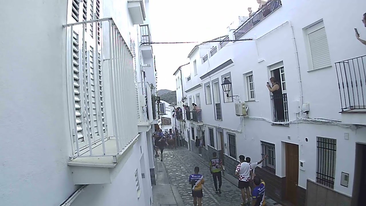 ToroReservaTauro RondaMálaga en UbrikeCadiz2°toroGayumbo Virgendl Remedios19hrs domingo3septmbr2023 