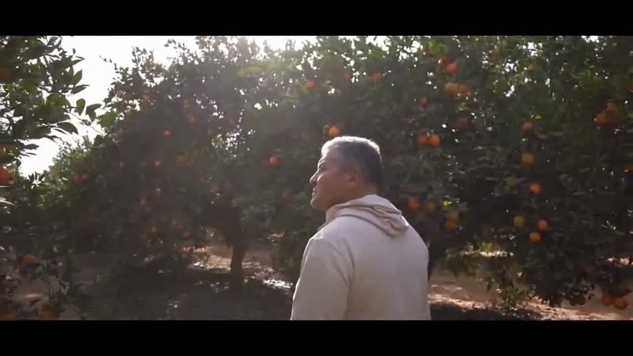 شركه المالك 