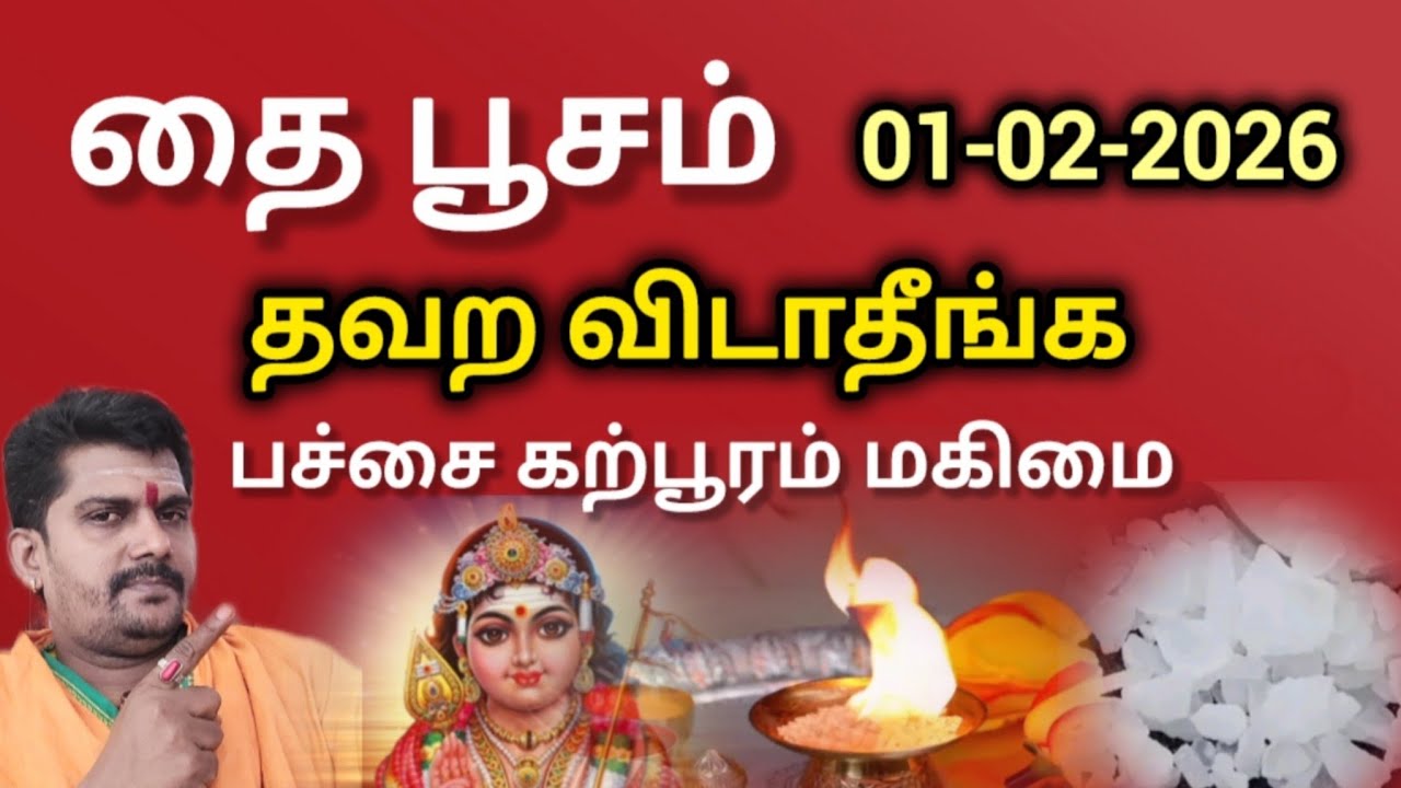 தை பூசம் தவற விடாதீங்க | பச்சை கற்பூரம் ரகசியம் | உங்களை தேடி வரும் மயில் | தைப்பூசம் 