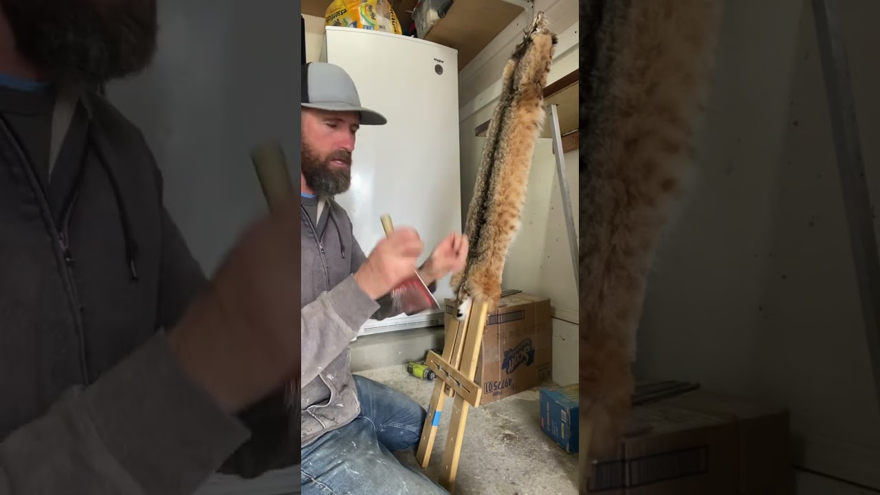 Unboarding a bobcat