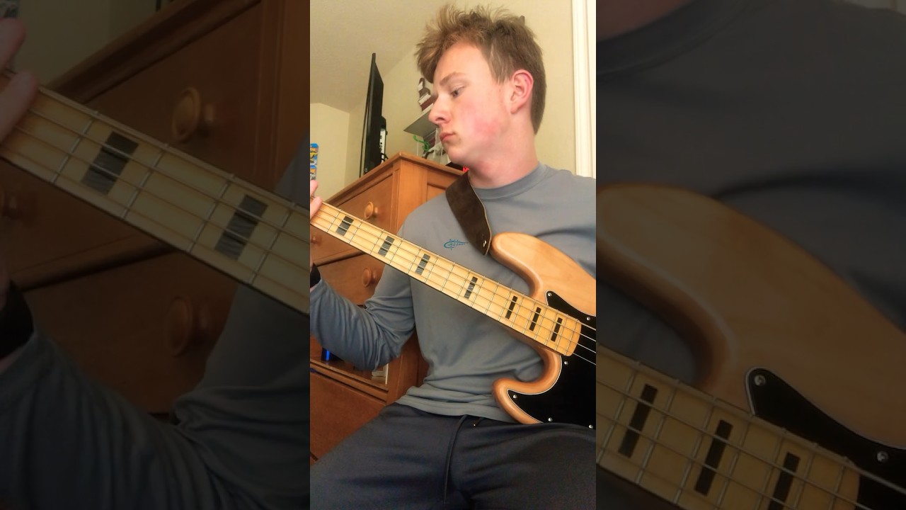 #ibanezguitar #bass #bassguitar #fender #guitar
