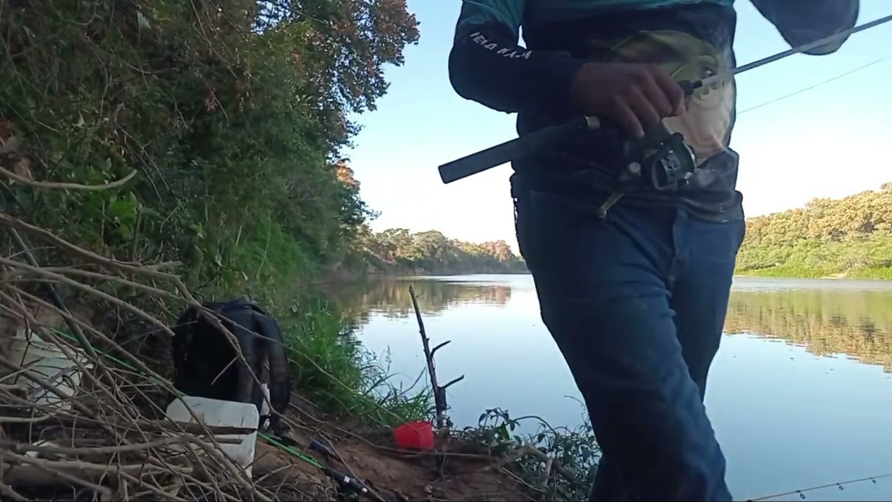Massa aprovada para os piaus 🐟. Bora de pescaria #pescaria #rio paracatu