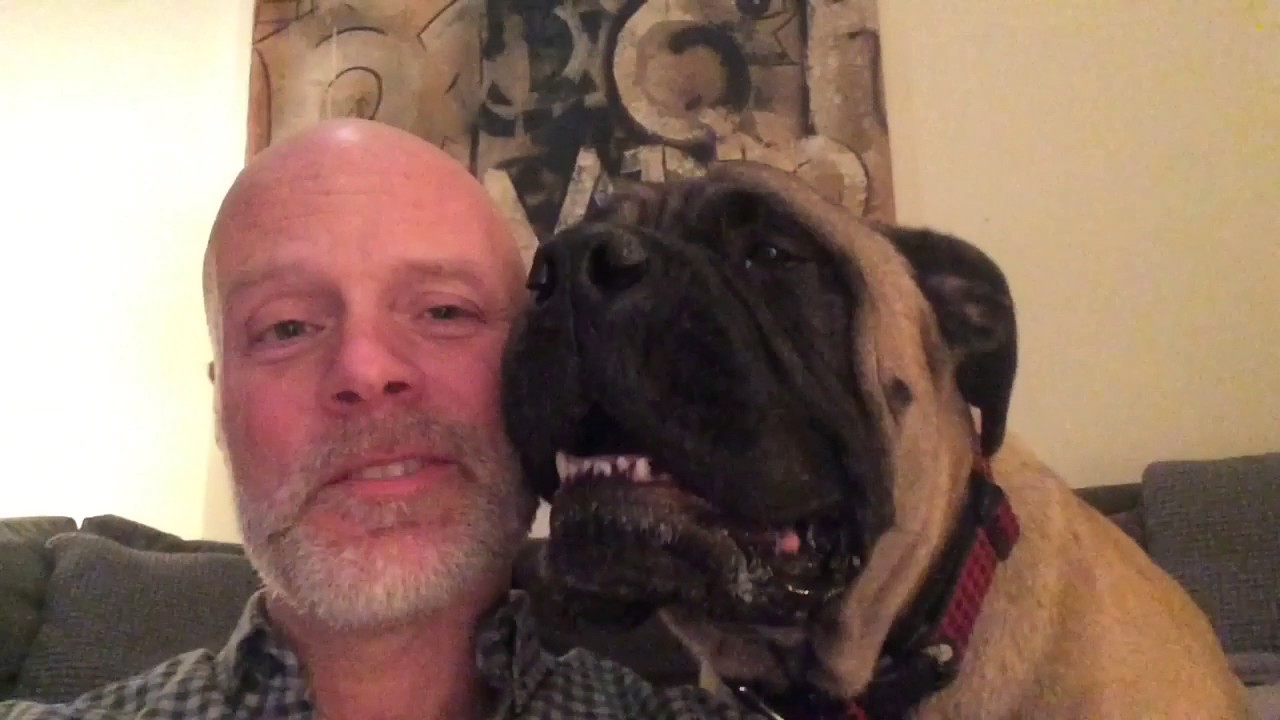 Norman still hates Christmas... in any language.