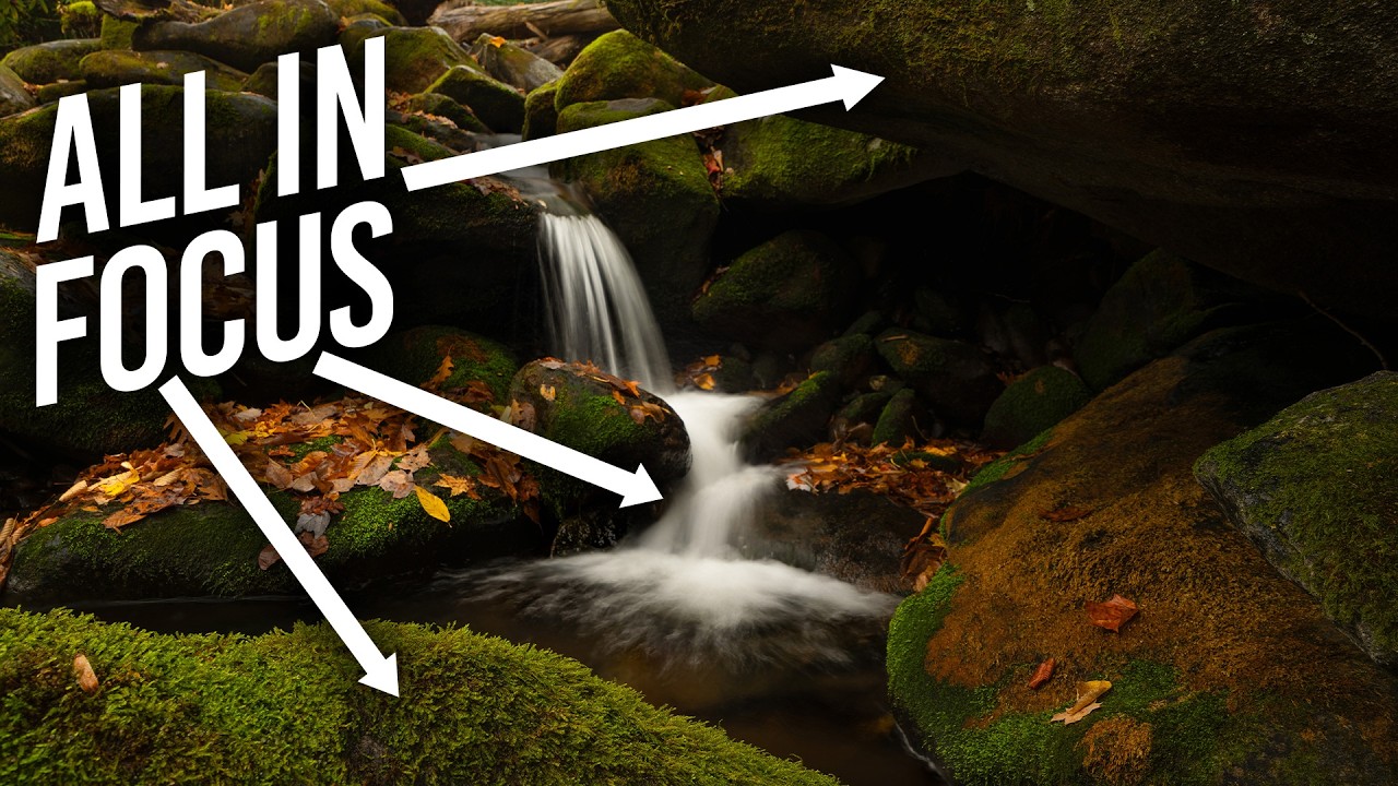 The Secret to Getting Tack-Sharp Landscape Photos Every Time