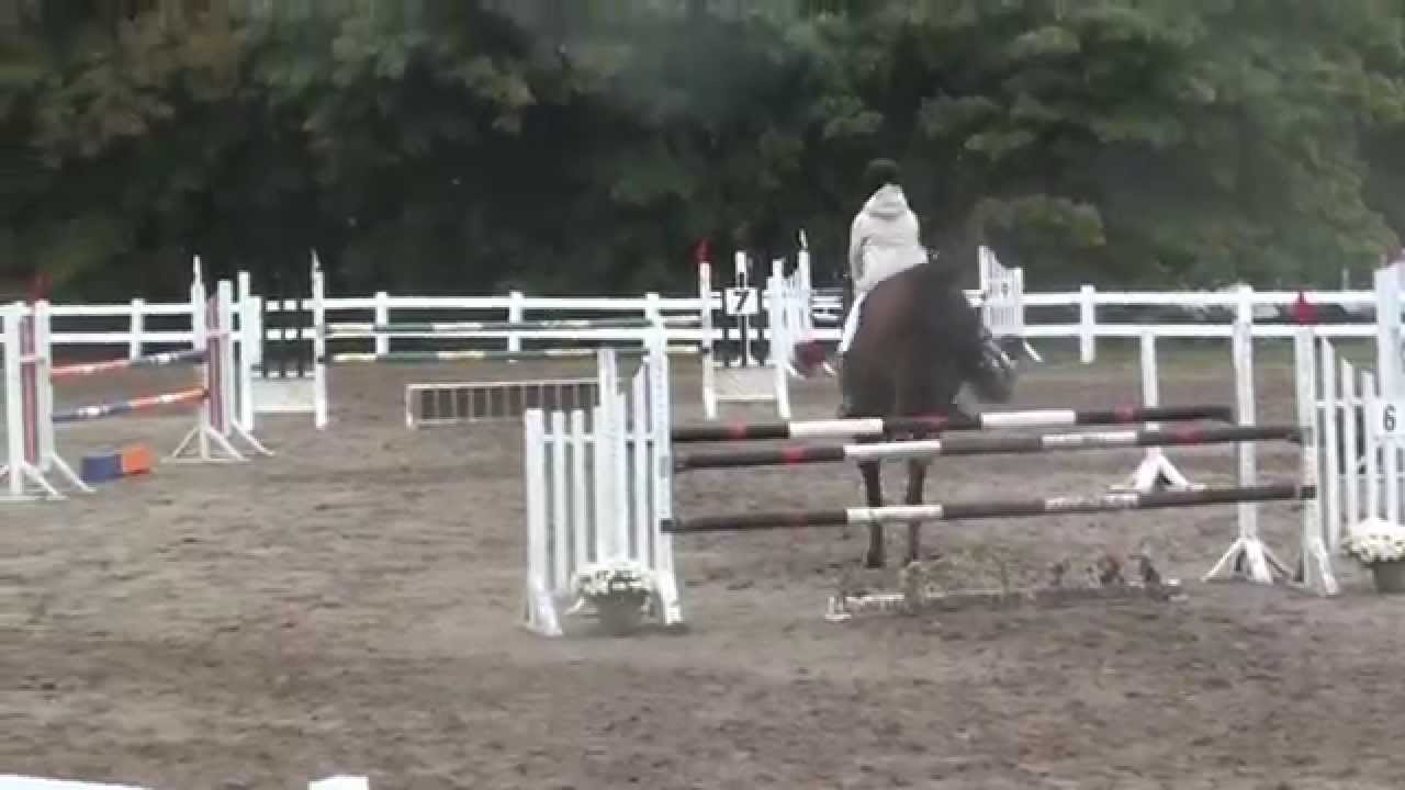 Henry Grandview Fall HT