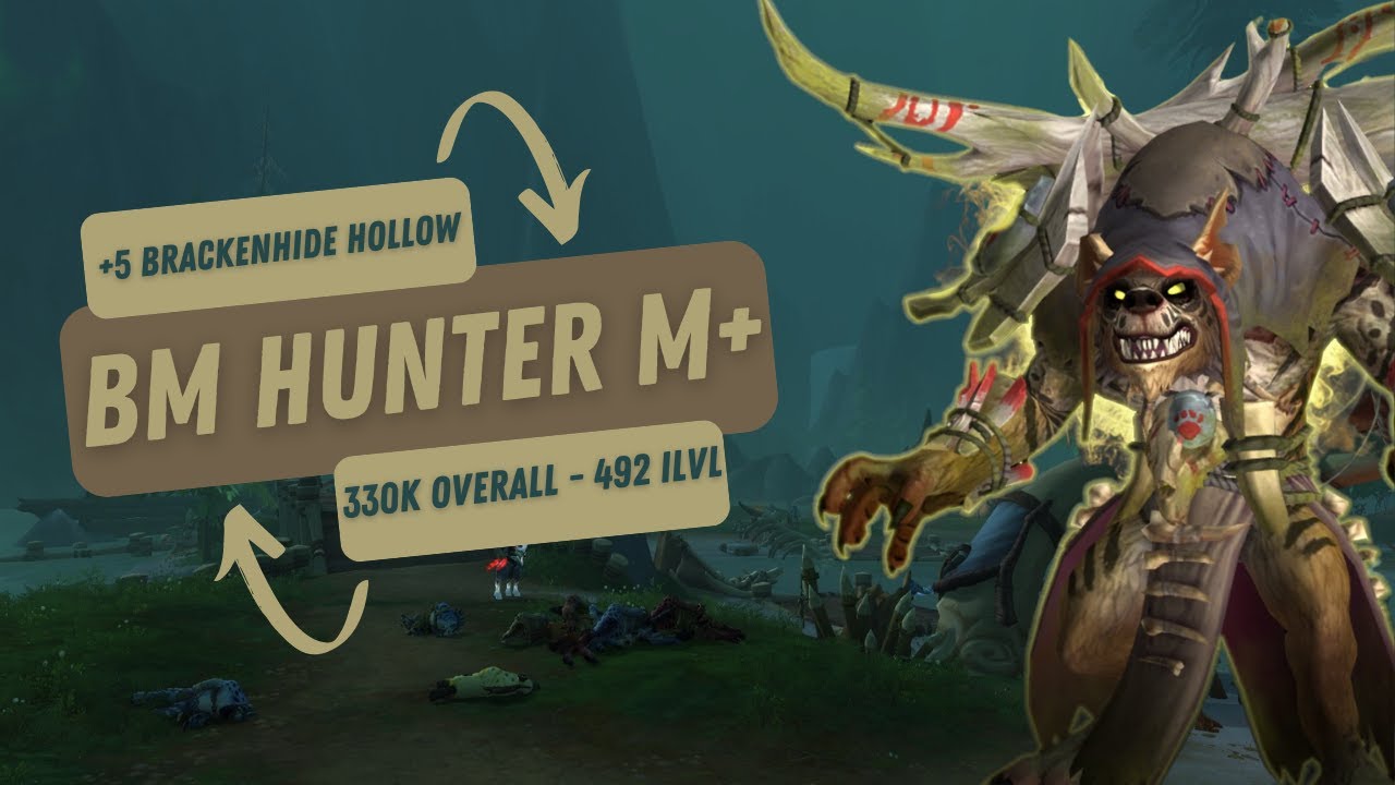 +5 Brackenhide Hollow | Hunter BM POV M+ Dragonflight Season 4 Mythic Plus